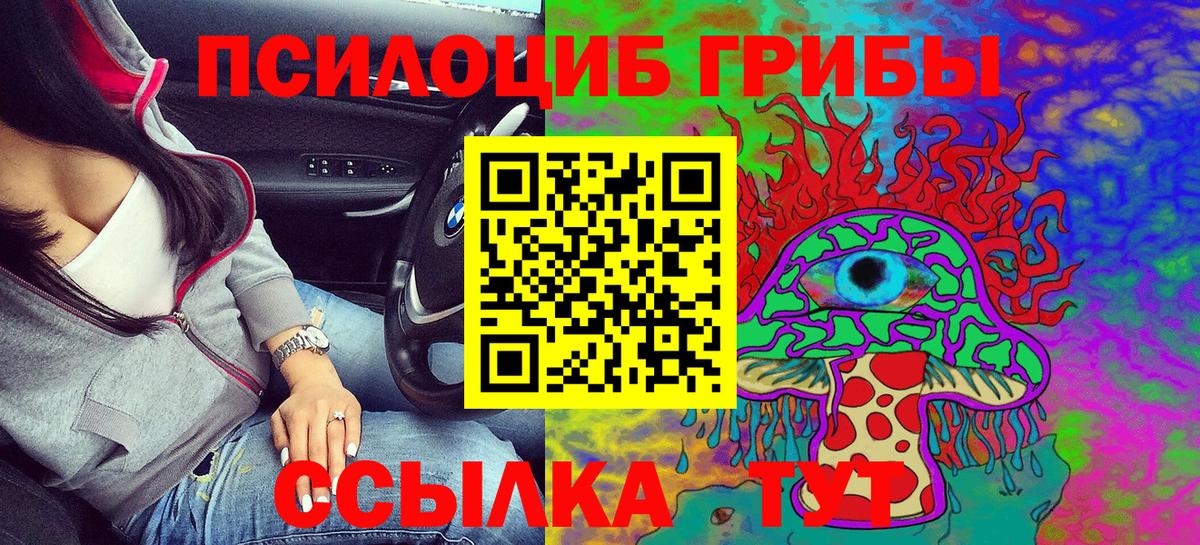 Галлюциногенные грибы Psilocybe Дзержинск
