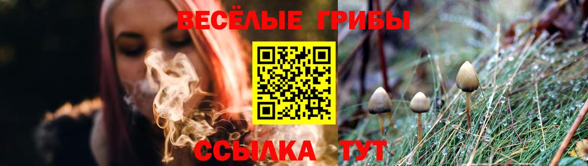Псилоцибиновые грибы прущие грибы  Вход с VPN  Дзержинск 